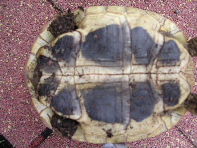 DSCN1854.JPG