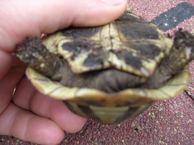 DSCN1855.JPG