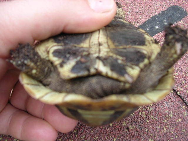 DSCN1856.JPG