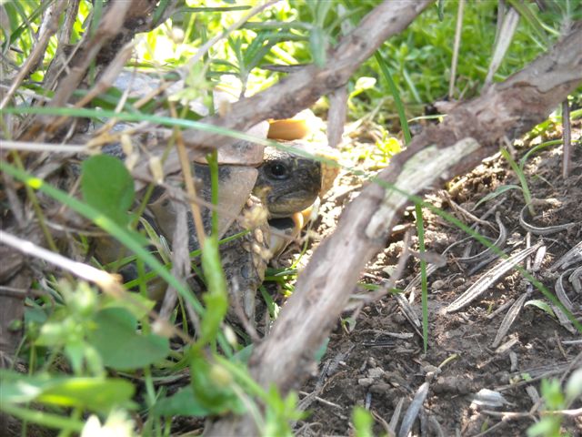 DSCN0541.JPG