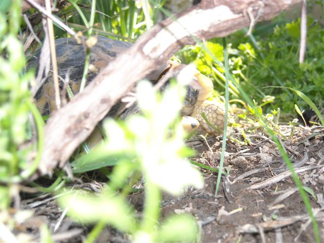 DSCN0542.JPG