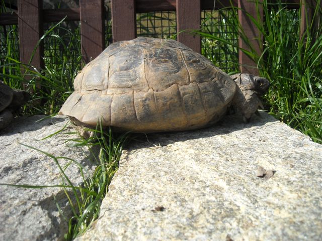 DSCN0555.JPG