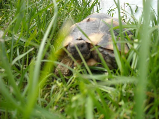 DSCN0569.JPG
