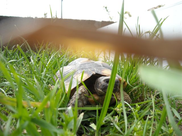 DSCN0571.JPG