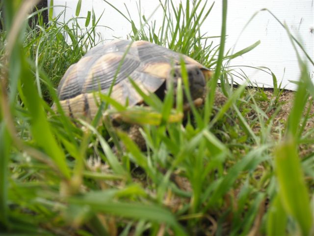 DSCN0572.JPG