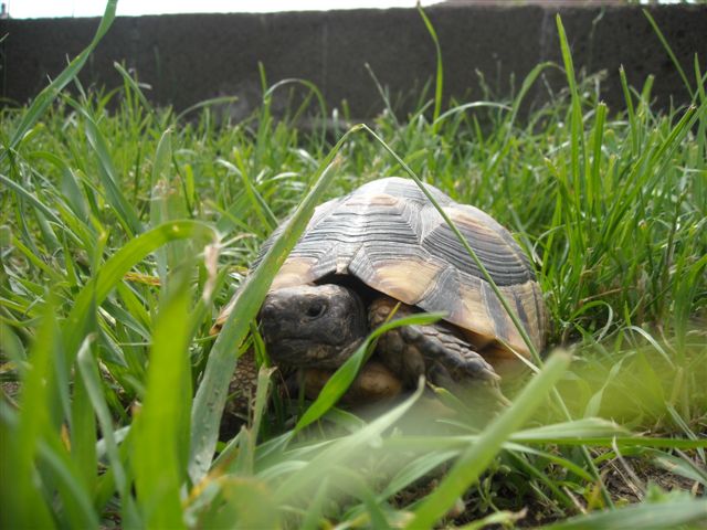 DSCN0573.JPG