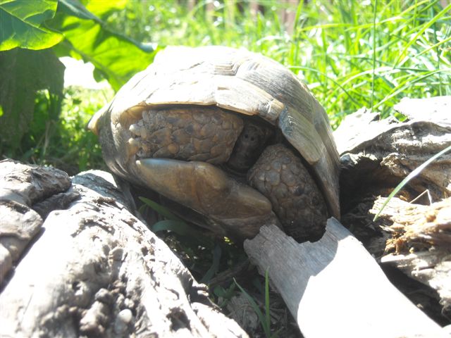 DSCN0511.JPG