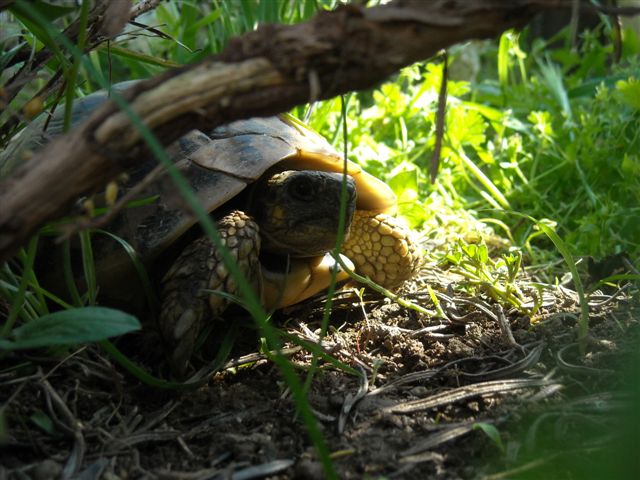 DSCN0543.JPG