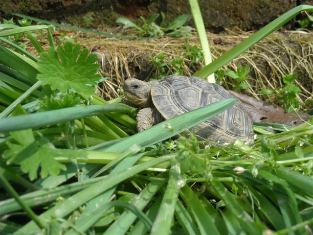DSCN0564.JPG