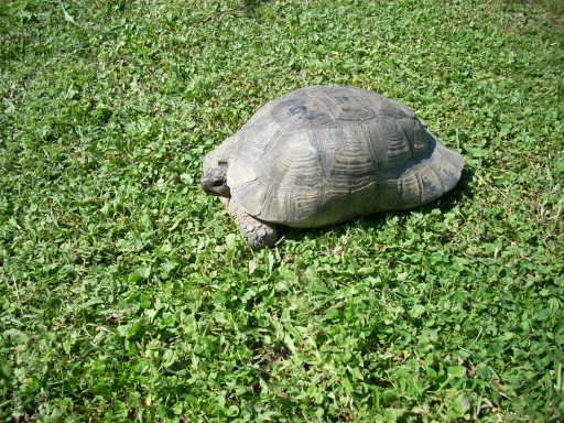 dscn2373.jpg