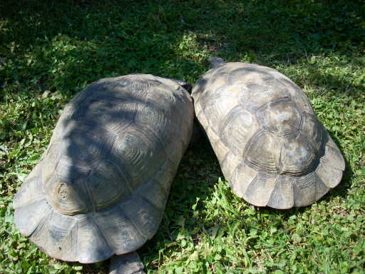 dscn2376.jpg