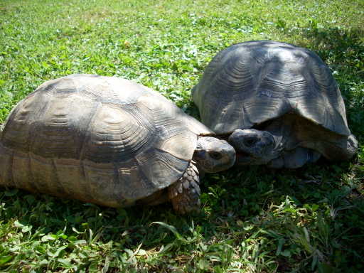dscn2379.jpg