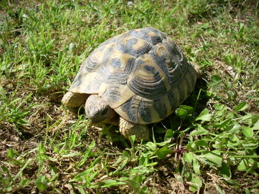 dscn2388.jpg