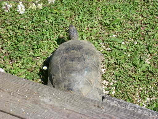 dscn2401.jpg