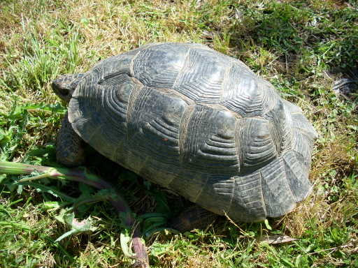 dscn2406.jpg