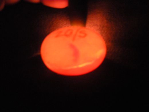 DSCN1439.jpg