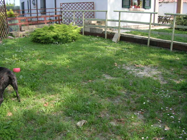DSCN1862.JPG