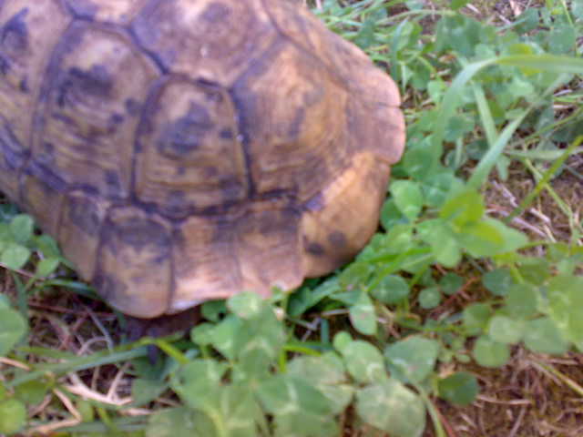 02072010733.jpg