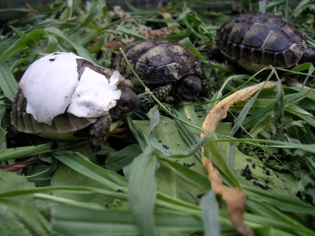 DSCN1883.JPG
