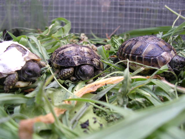 DSCN1884.JPG