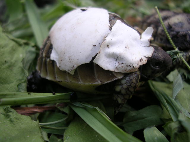 DSCN1885.JPG