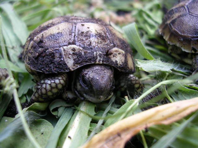 DSCN1886.JPG