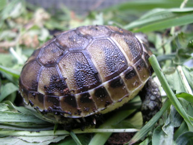 DSCN1887.JPG
