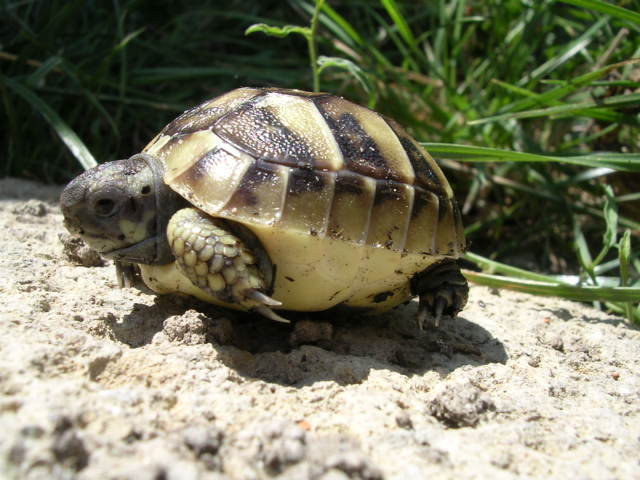 DSCN1888.JPG