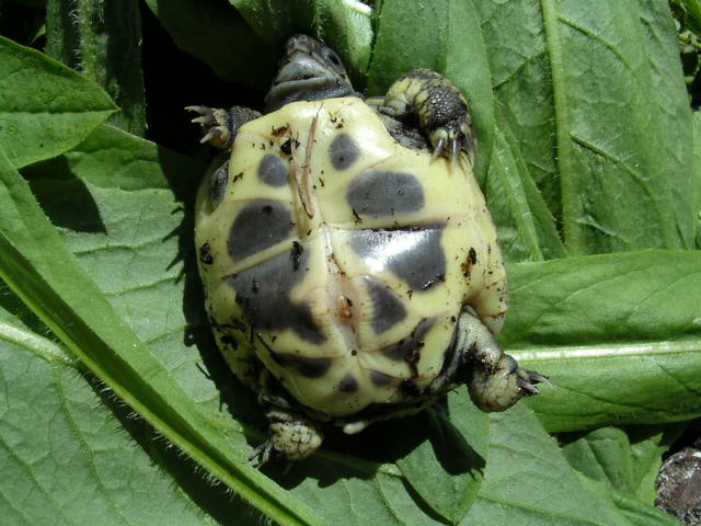 DSCN1890.JPG