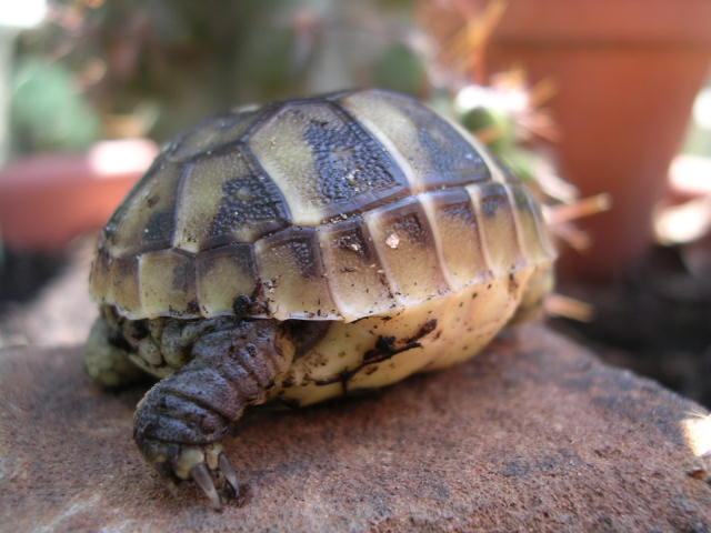 DSCN1891.JPG