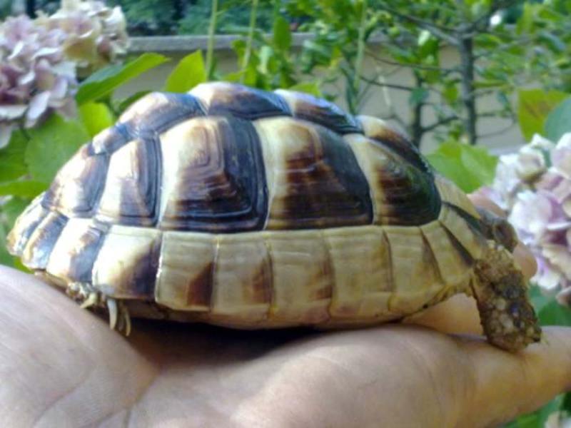29072010021.jpg
