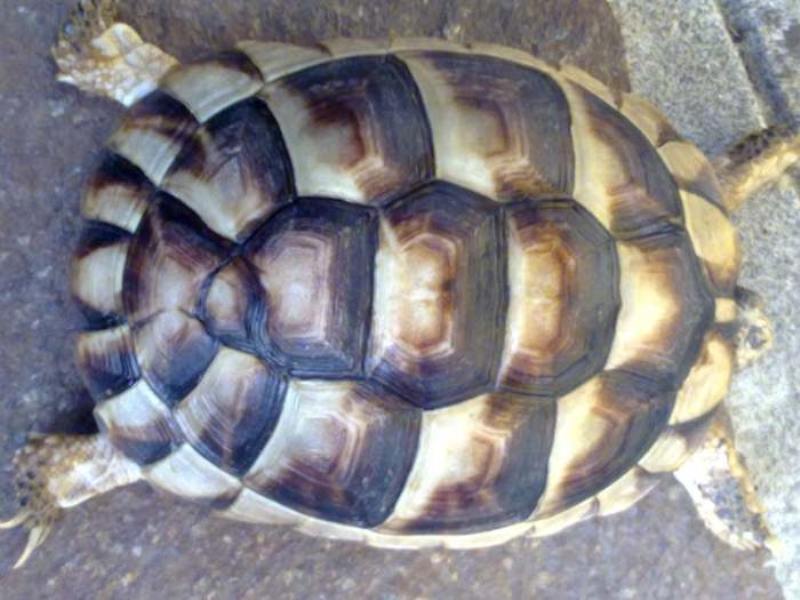 29072010028.jpg