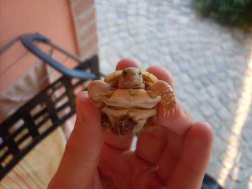 margi chiara.JPG