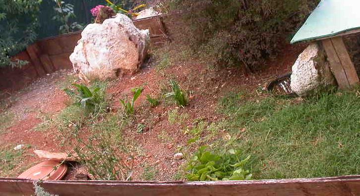 DSCN5367_crop.jpg