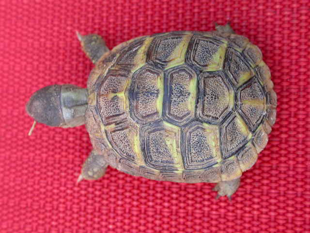 DSCN5449.JPG