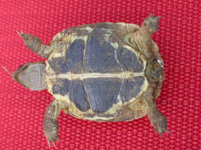 DSCN5450.JPG