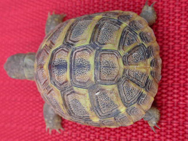 DSCN5451.JPG