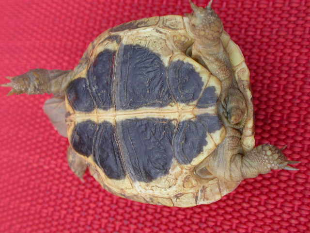 DSCN5452.JPG