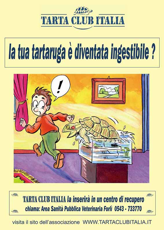 bassa-risoluzione5.jpg