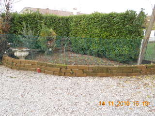 SSCN0304.JPG