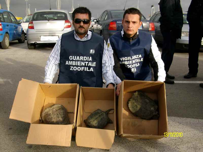 tn_operazione bracconiere nella rete.jpg