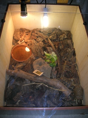 DSCN3464.JPG