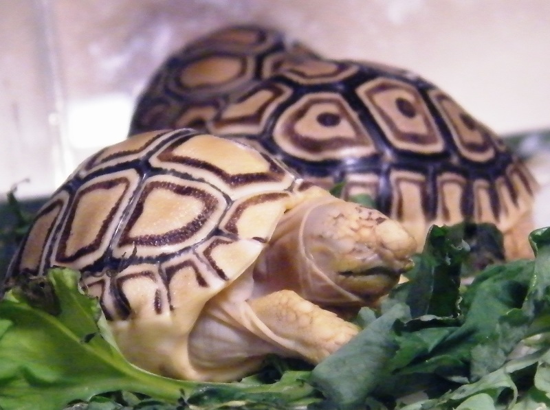 DSCF3503.JPG