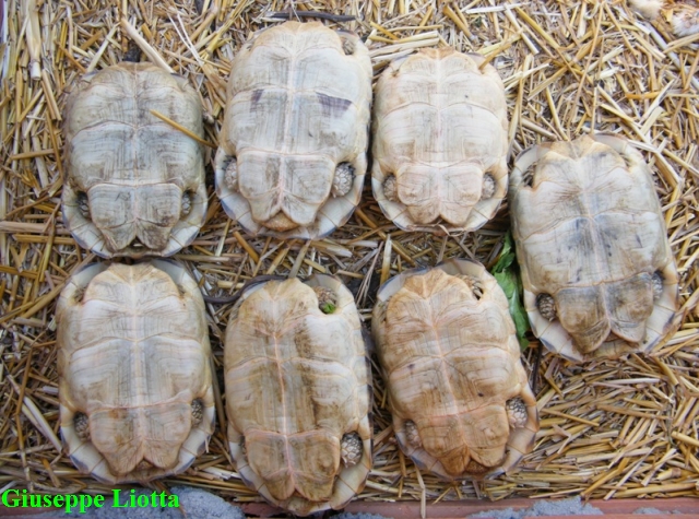 DSCF2859.JPG