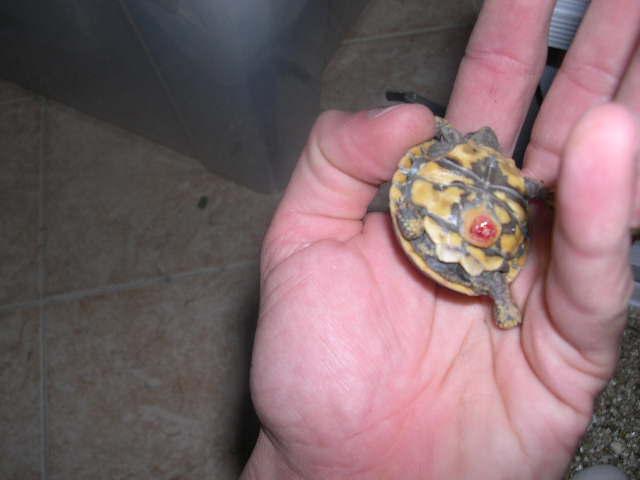 DSCN0702.JPG