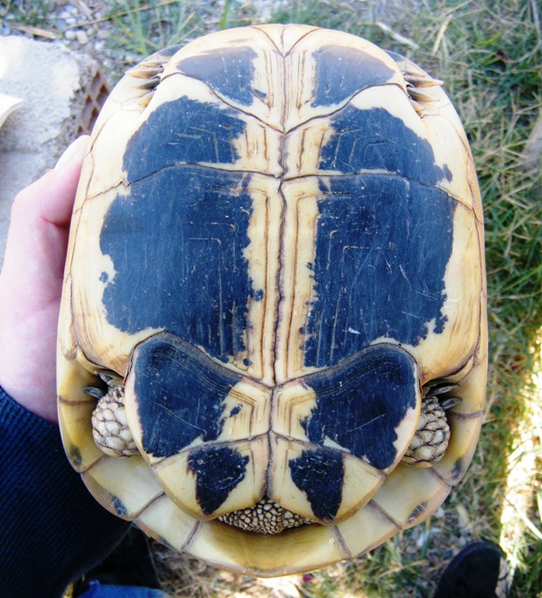 DSCF2753.JPG