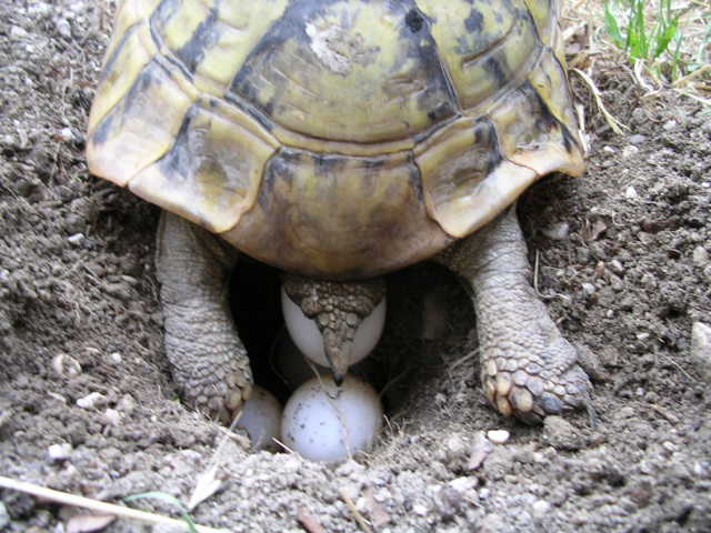 DSCN1557.JPG