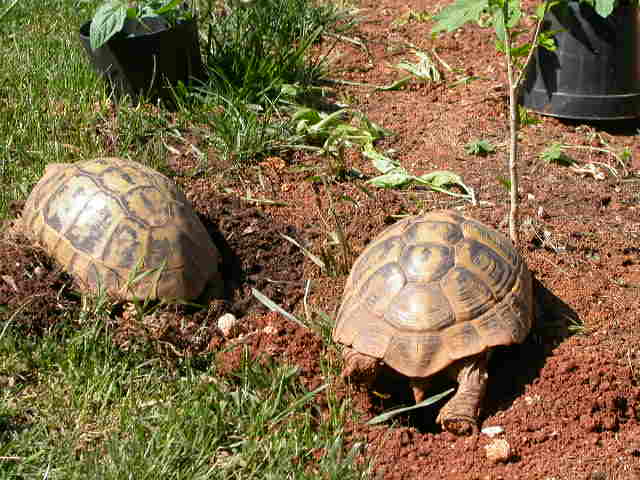 DSCN5956.JPG