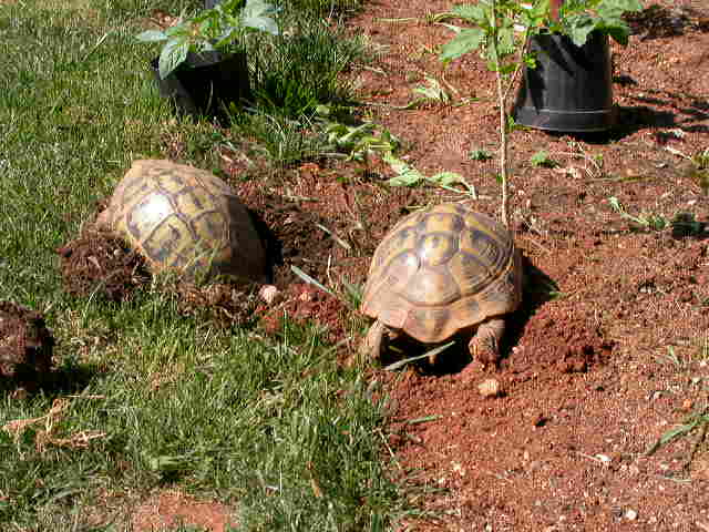 DSCN5954.JPG