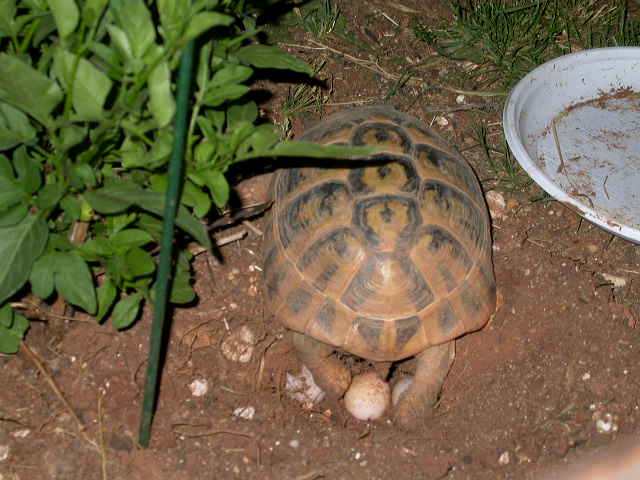DSCN5965.jpg